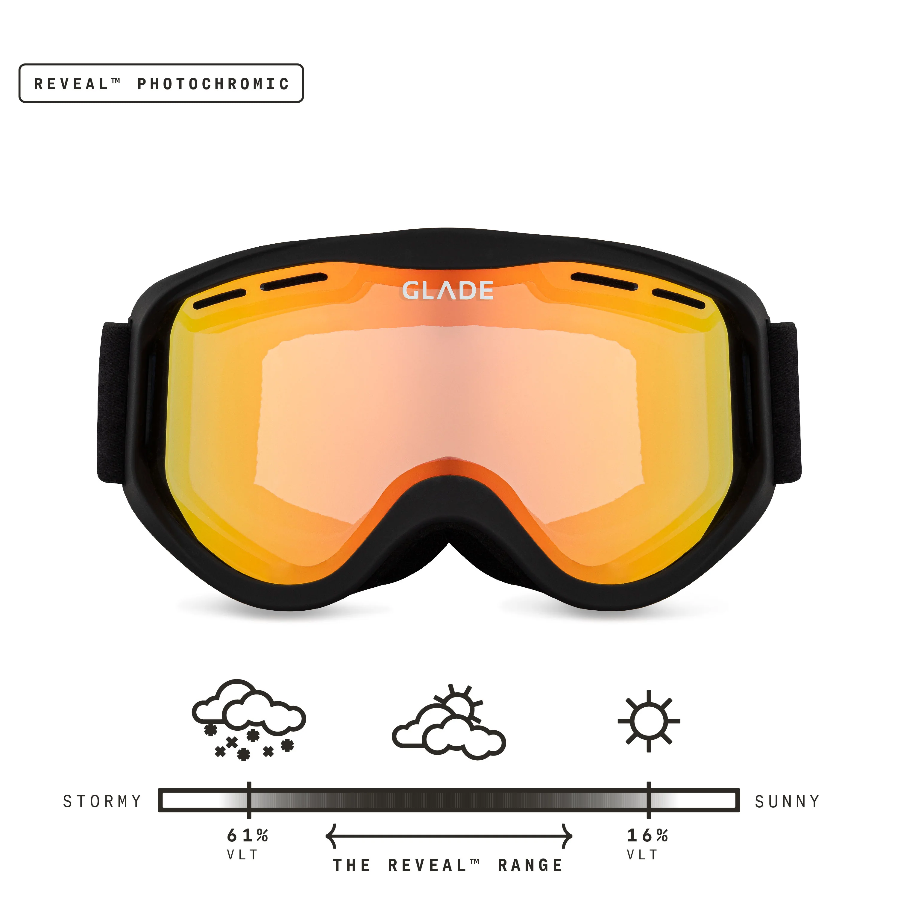 Pico Youth - Image 23