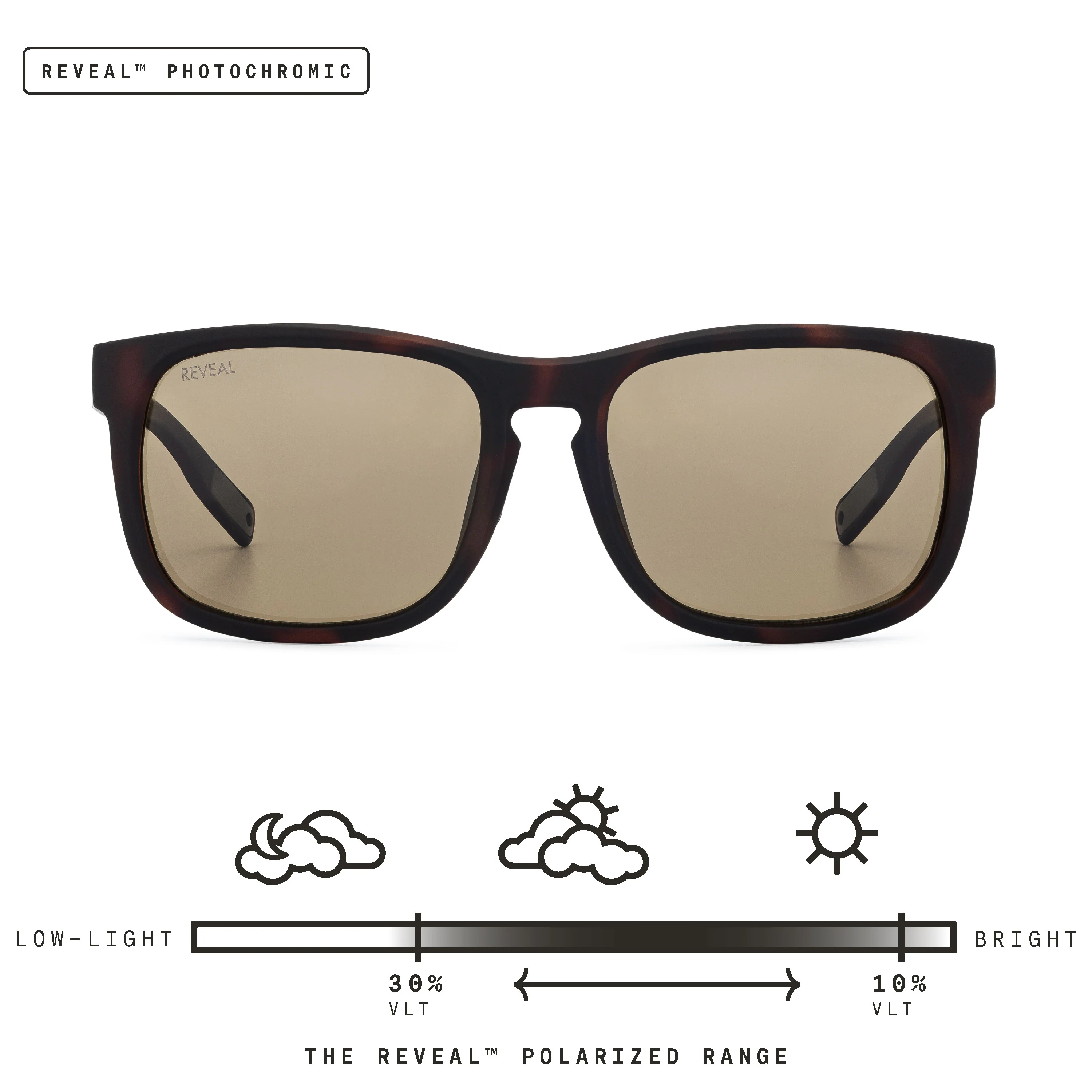 Townie - Image 105