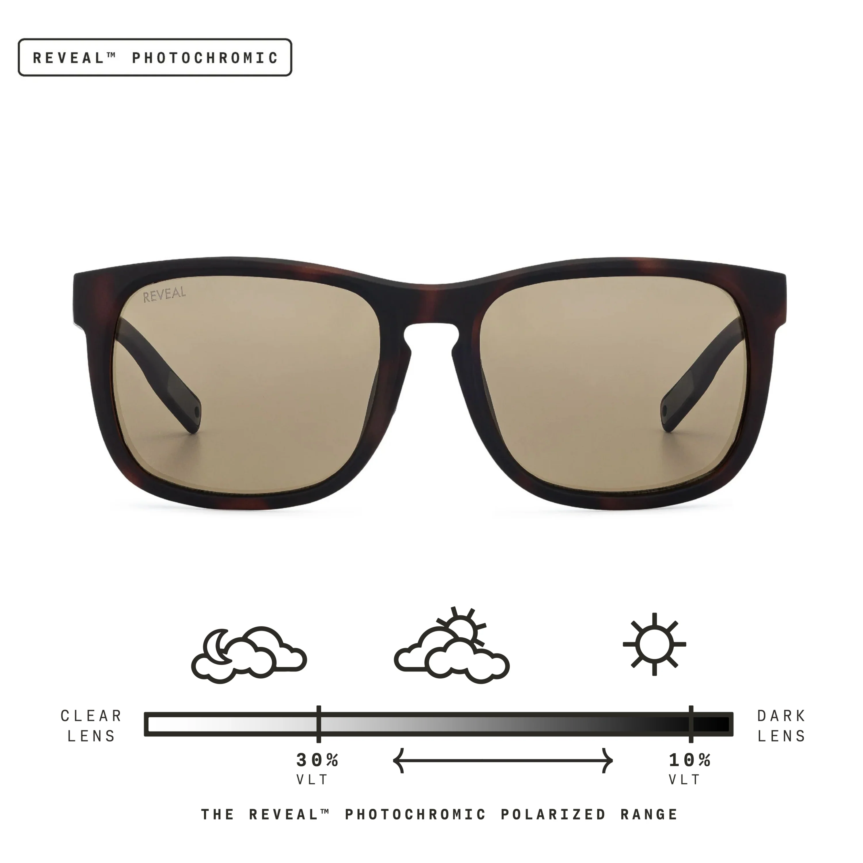 Townie - Image 118