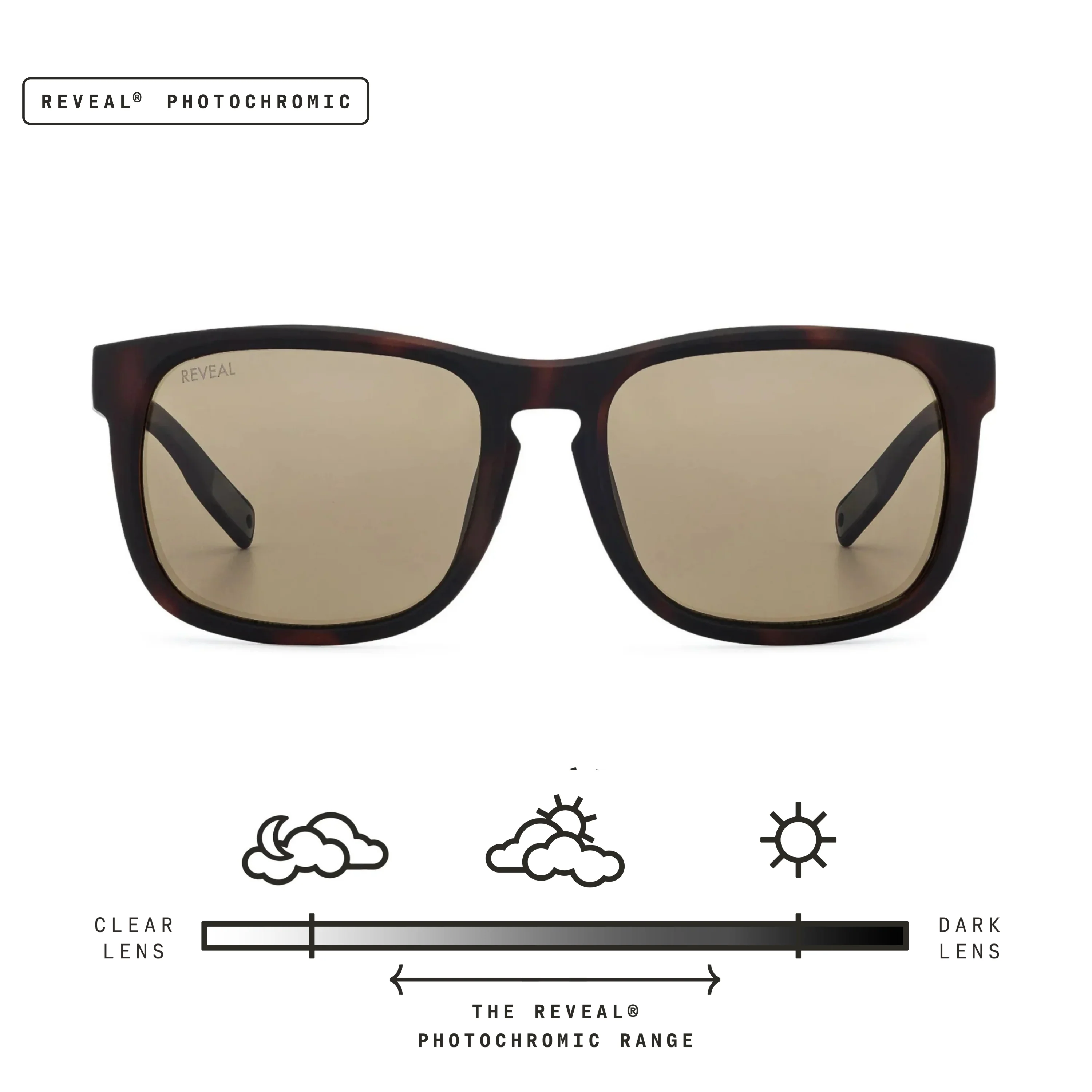 Townie - Image 128