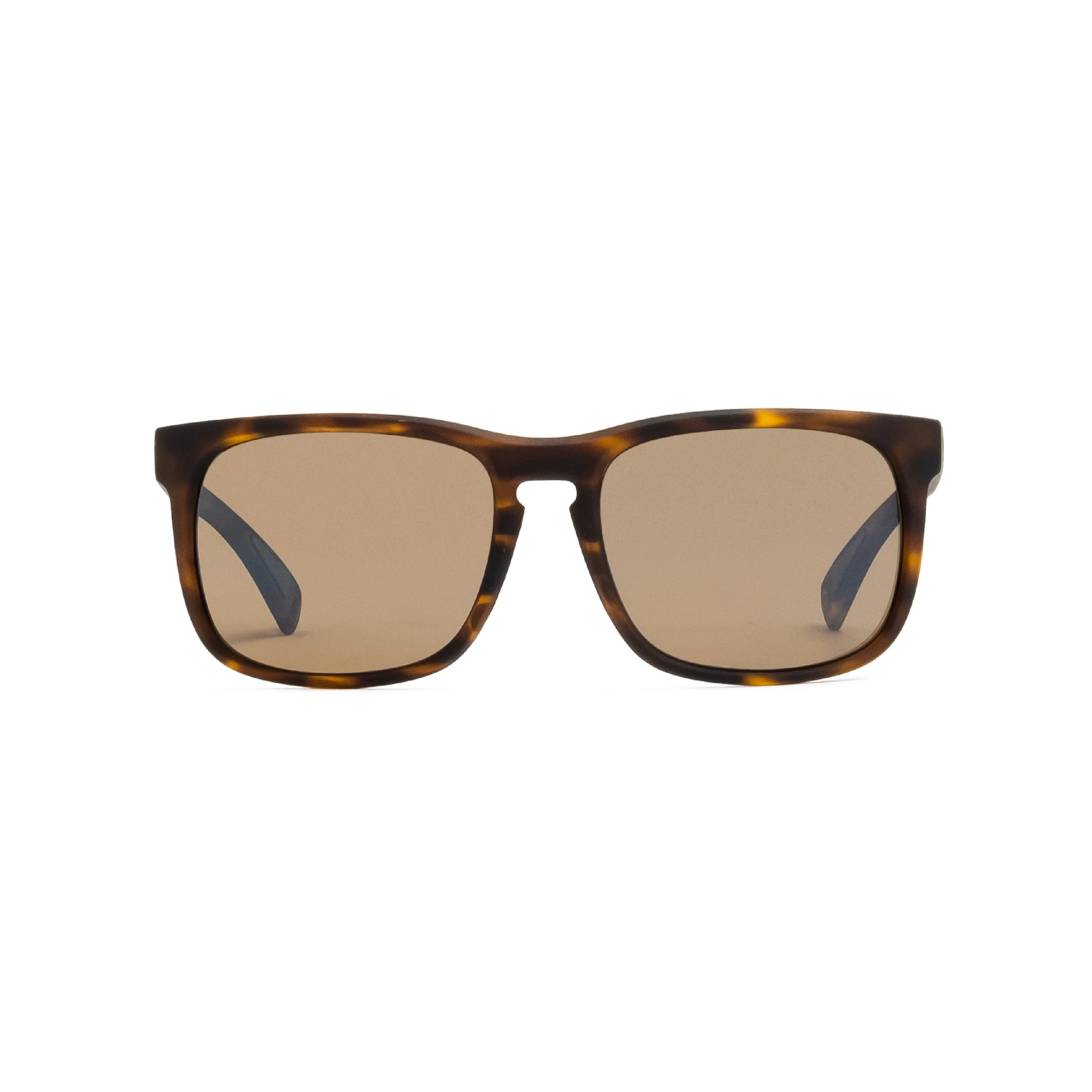 Townie - Image 15