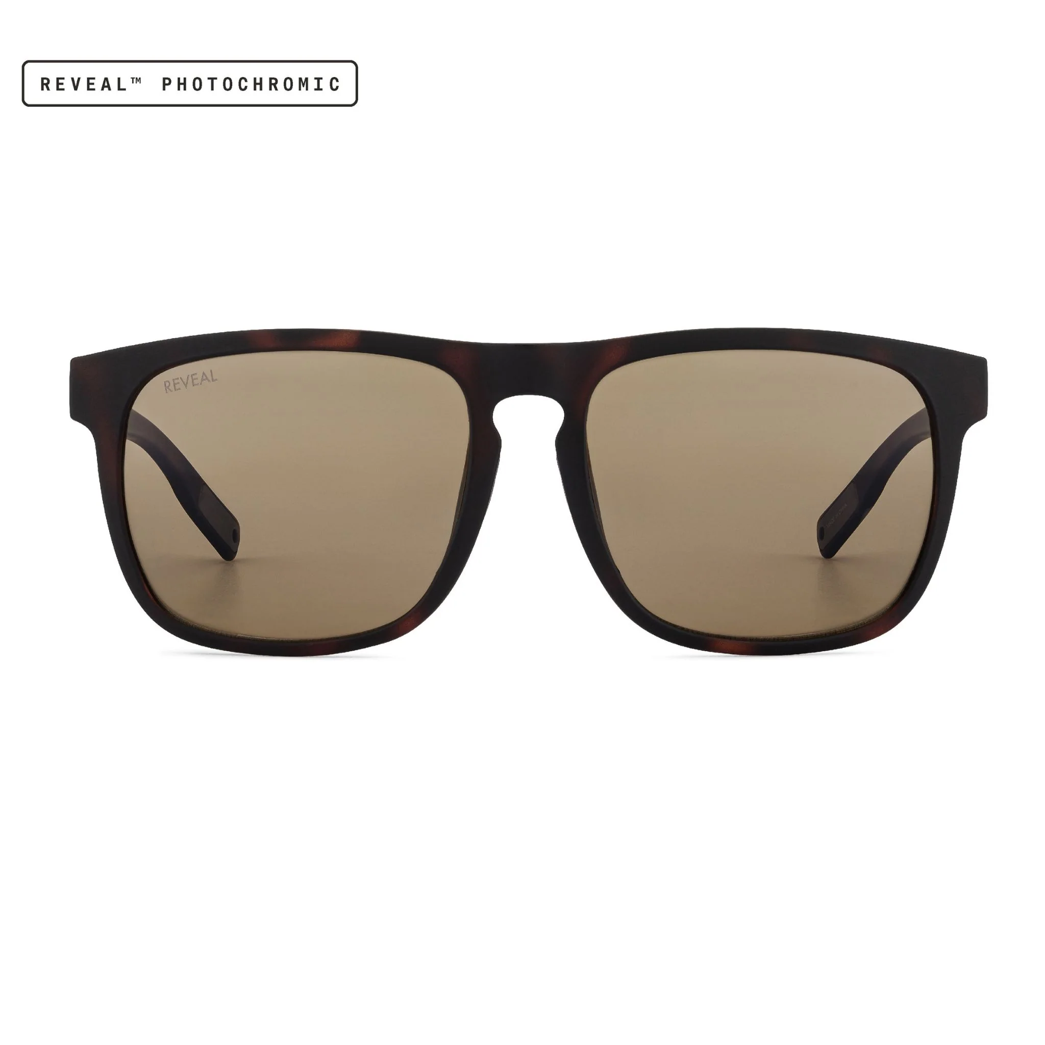 Townie XL - Image 3