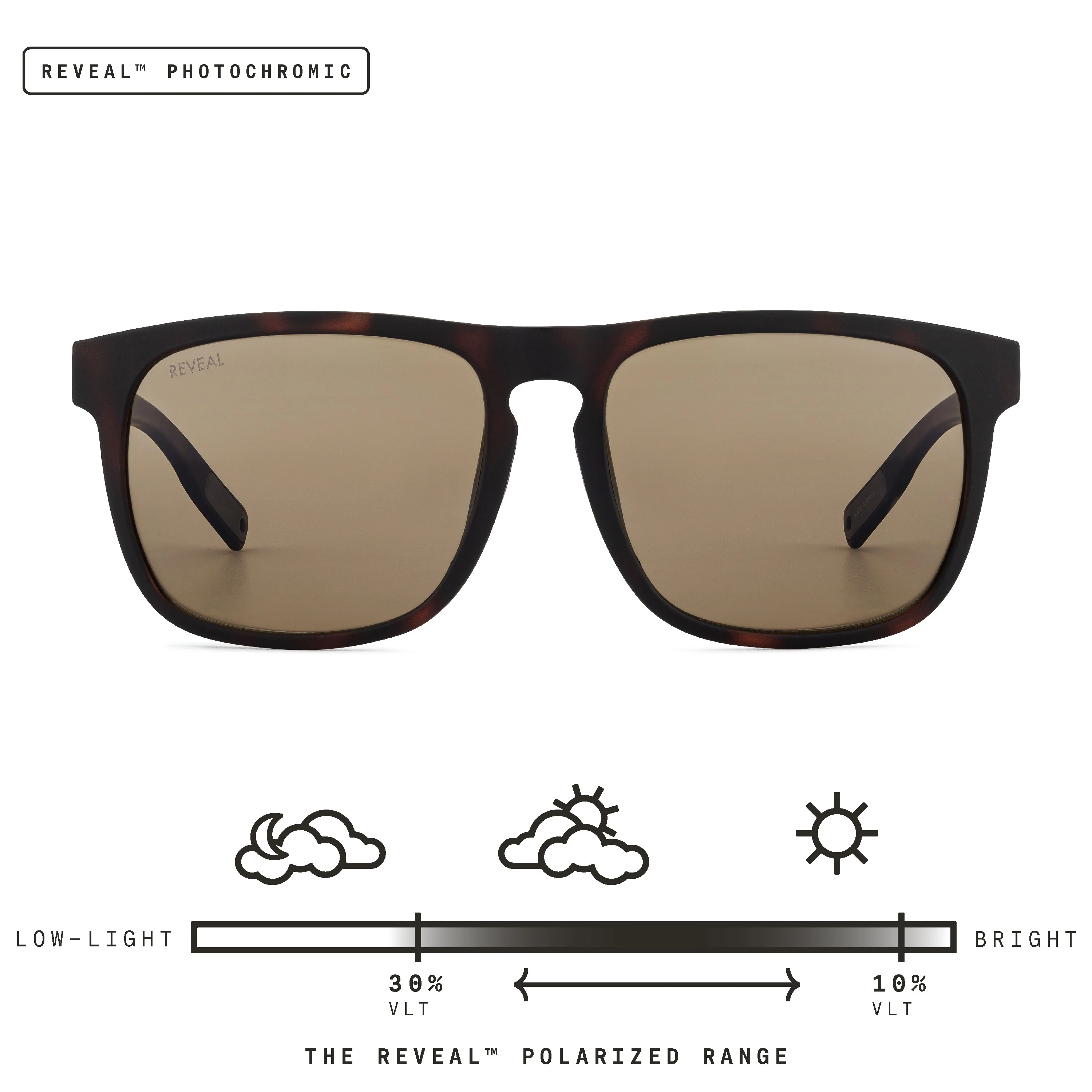 Townie XL - Image 57