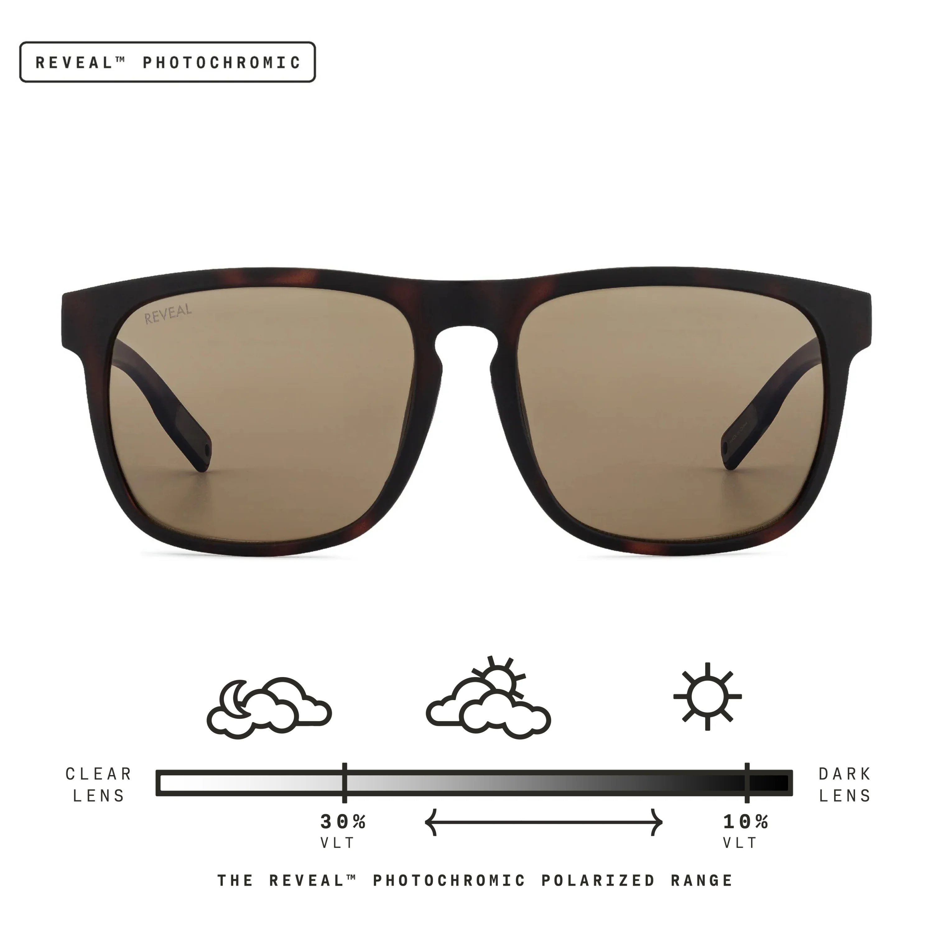 Townie XL - Image 62