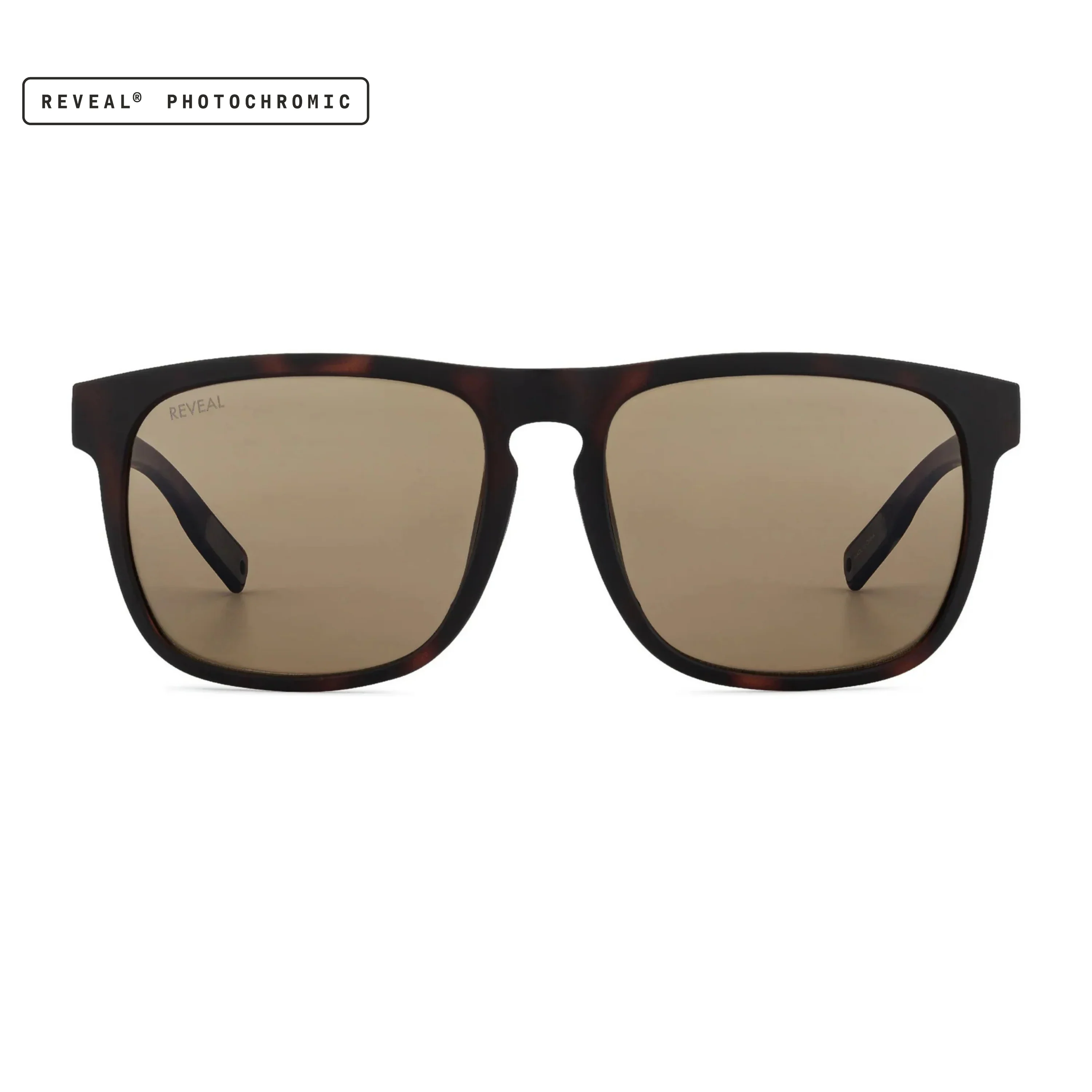 Townie XL - Image 63